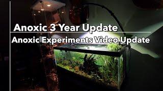 Anoxic Experiments 3 Year Update 20 43 15 gallon tanks