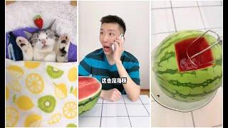 Douyin Tictok cute cate. 李哈哈是只可爱猫EP07 -我的小猫是真调皮#喵#猫