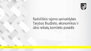 2024-11-14 Biudžeto, ekonomikos ir ūkio reikalų komiteto posėdis