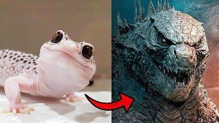 Before & After Animals Growing Up | Amazing Animal Transformation 18