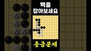 쉬운바둑 바둑문제