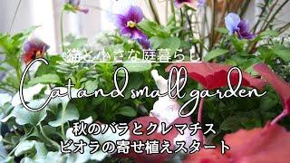 秋のバラとクレマチス/10月の購入苗紹介/ビオラの寄せ植え/ガーデンVlog