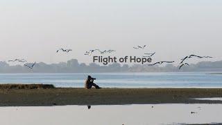 Flight of Hope: Saving Rajasthan's Chandlai Lake