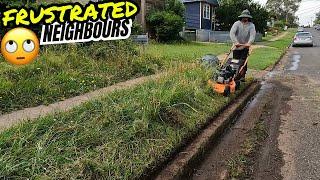 This overgrown yard went from judged to joyful. Satisfying transformation.