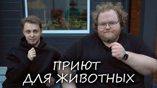 T2x2 И Stint СХОДИЛИ В ПРИЮТ ДЛЯ ЖИВОТНЫХ "Дубовая Роща"