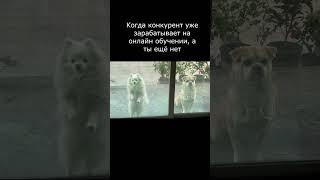 Как заработать на онлайн обучении