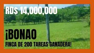 Finca de 200 tareas Ganadera en Bonao Rep Dominicana
