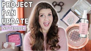 November Project Pan Update | big makeup use up challenge 2024