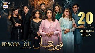 Noor Jahan Episode 1 | 25 May 2024 (English Subtitles) | ARY Digital Drama