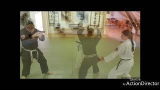 Daitō-ryū Aiki-jūjutsu Renshinkan - Dogan Orakci 6th Dan, Shihandai