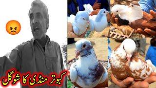 Ramadan Ke Kabootar Mandi Ka Shok | Zabardast Kabootar | ColorFull Pigeons Rates Updates | Pigeon