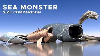 Sea Monsters Size Comparison 2024 | 3D Animation Comparison | Fish Size Comparison