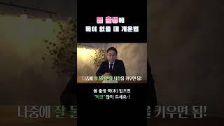 봄 출생의 목 없는 사주 개운법  #사주 #사주팔자