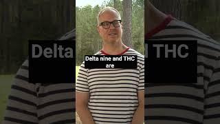 What is Delta 9, and is it dangerous?  #addiction #rehab #recovery #sobriety #druguse