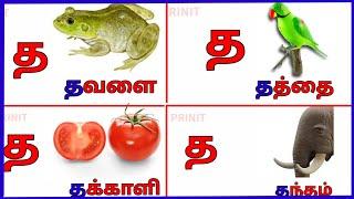 த வார்த்தைகள்/ த சொற்கள்/ உயிர் மெய் எழுத்துக்கள் "த"/ த words in Tamil /prinit