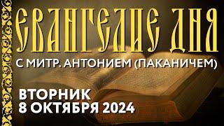 Толкование Евангелия с митр. Антонием (Паканичем). Вторник, 8 октября 2024 года.