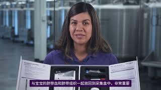 打开您的CBR采集盒 | Cord Blood Registry