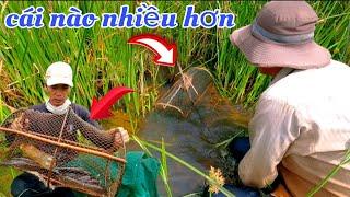 CHIA SẼ KINH NGHIỆM ĐẶT LỜ CÁ HIỆU QUẢ NHẤT | THĂM 20 CÁI LỜ TRÚNG 1 THAU CÁ LÓC