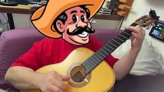 MEXICAN SONG ON GUITAR