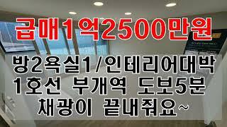 1006-82/역세권 올수리 된 빌라/부개역 도보 5분/신축급 올수리/주차가능/초중고인접/010 5849 3992