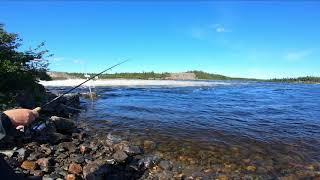 Catching Huge, Landlocked Salmon! Labrador, NL.