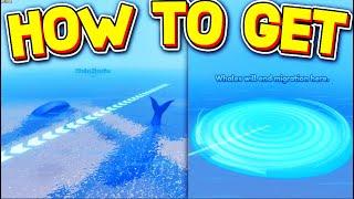 HOW TO FIND WHALE MIGRATION LOCATION in FISCH! ROBLOX