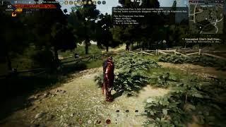 Is Black Desert Online Worth Playing In 2022 Xbox Series X 1440p 60FPS