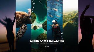 The Best Cinematic LUTs 2024