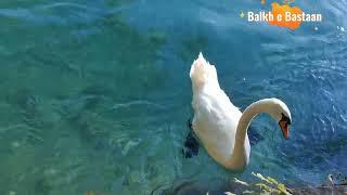 Switzerland Beautiful Places2- 2023