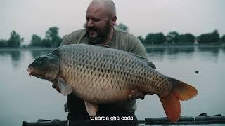 Carp Fishing Elbe River - LET IT FLOW