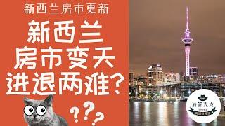新西兰房市要反转？经济和房地产是上还是下？美联储转向？奥克兰房市更新 房价走势  房价查询 买房攻略 油管麦克
