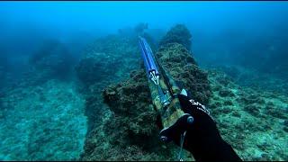 דייג בצלילה חופשית - אירדים - 14.03.24 - Spearfishing Israel - Motteld Groupers