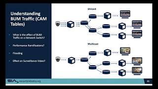 Understanding Layer 2 Networking