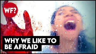 Why We Like To Be Scared | Do You Enjoy Fear?  This video will scare you. 