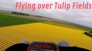 Flying over tulip fields