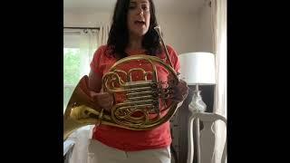 Beginner French Horn - How to know what fingering to use