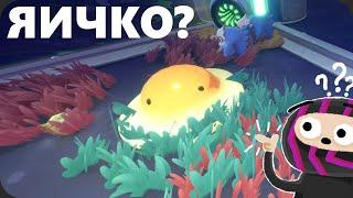 Я нашел самого РЕДКОГО СЛАЙМА - Slime rancher 2