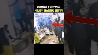 갑자기 들어온 멧돼지.. 똑똑한 한국인들의 대처 방법