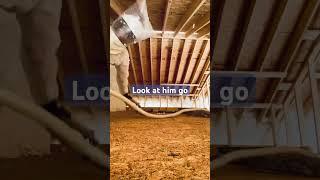 Sprayfoam pro sprayer #sprayfoaminsulation #sprayfoam #insulation #graco #workhard