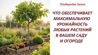 Сенсация: ИММУНИТЕТ и ВЫСОКАЯ УРОЖАЙНОСТЬ дерева обеспечиваются прямо при посадке №687/24