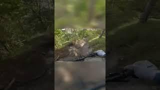 Daily MTB Crash in Anninger