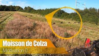 Moissons de colza 2024 " motivation zéro " !