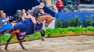 Highlights of the KWPN stallion show 2024