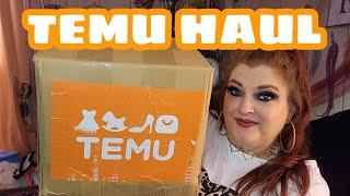 $100 Temu Unboxing | Temu Haul Day | Car décors, storage, tech gadgets, and more