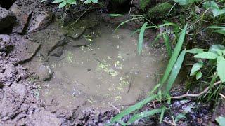 spring water on the homestead