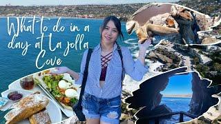 La Jolla Cove | A 1-day Itinerary (Date Ideas)