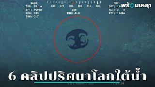 เฉลยตัวจริงของสัตว์ประหลาดจากใต้น้ำใน 6 คลิปไวรัล