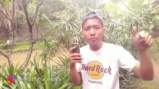 Herdish | Wing beatbox cover | Attention