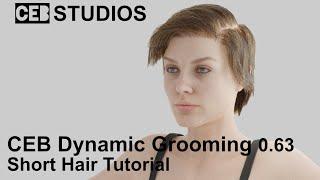 Dynamic Grooming 0 63 Short HairTutorial