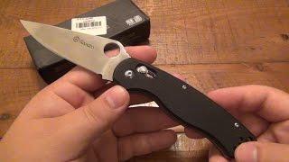 Knife Review : Ganzo G729 (Axis Lock Paramilitary Clone) (Great Knife For Pedestrianism)